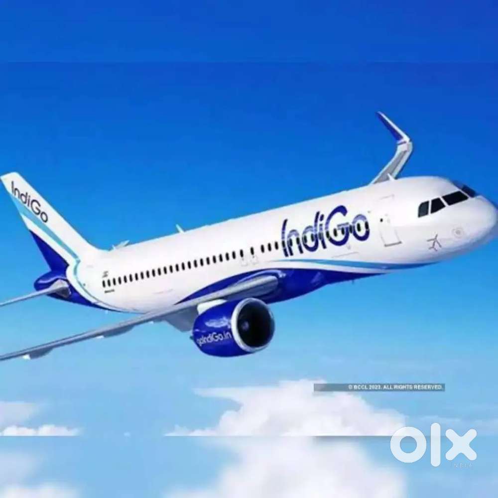 Airport Ground staff jobs in Indigo Airlines urgent hiring Apply Fast