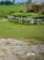 Guloli road mohammdi  corner plot