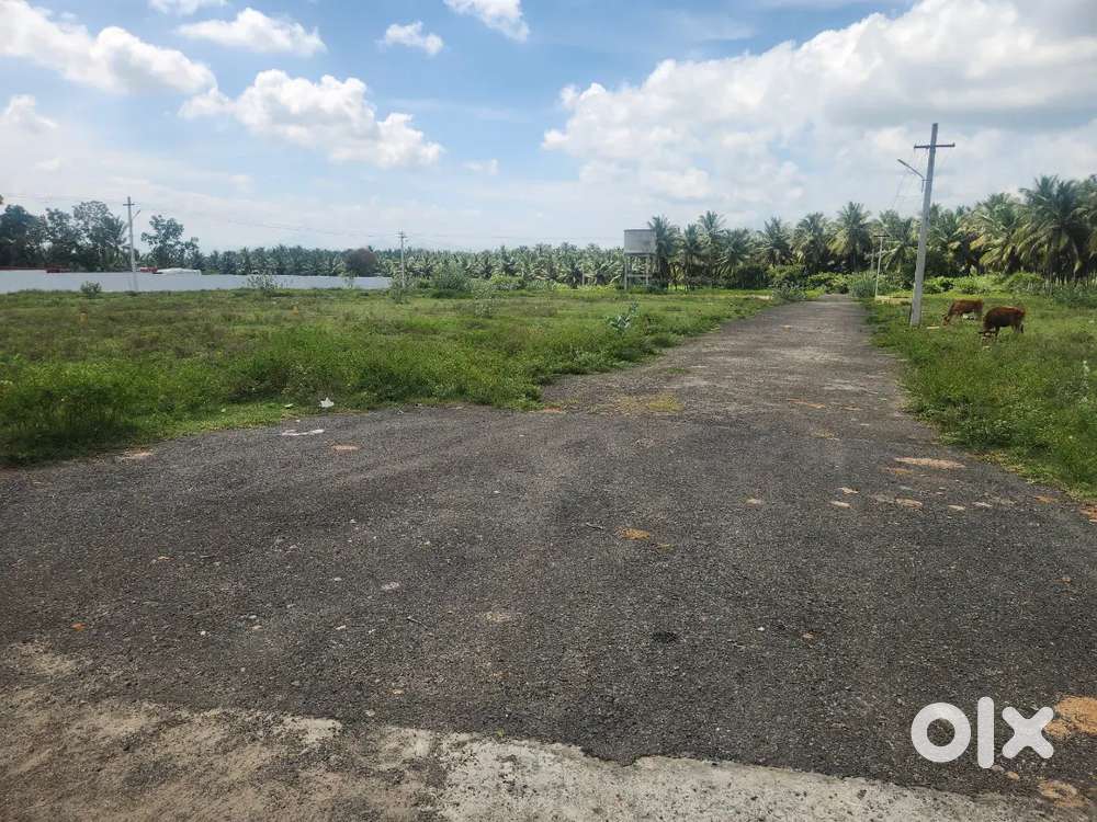 NearbyPA School nearby Chaitanya school