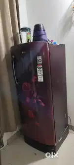 1.5 year old fridge