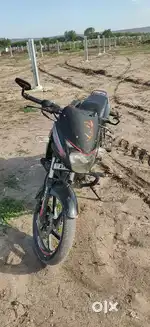 Pulsur 150 2018 model