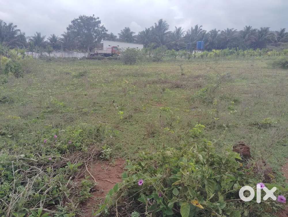 Land for sale in kottathara,UP SCHOOL BACK SIDE