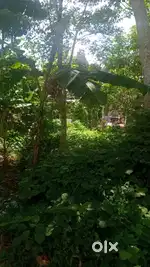 Plot for sale at anthiyoorkonam, malayinkeezhu  , 5 cent