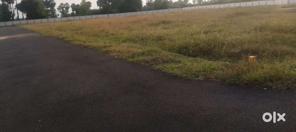 వైజాగ్ to విజయనగరం హైవే రఘు ఇంజనీరింగ్ కాలేజీలో దగ్గరలో ప్లాట్లు