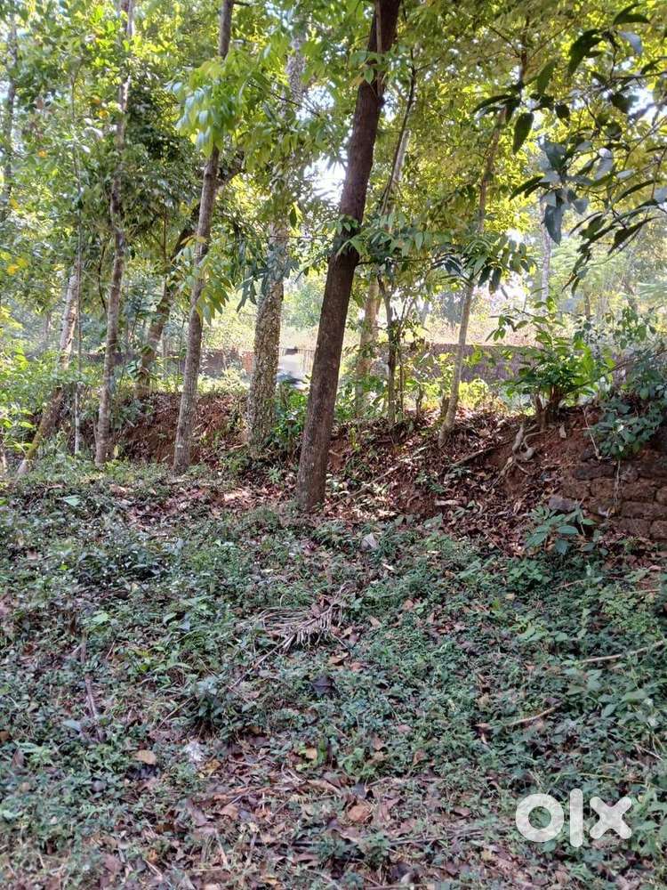 Housing plot for sale
