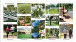 Plot for sale at shankarpally,Dtcp rera approved , resort inside ventu