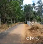 5 CENT HOUSE PLOT FOR SALE