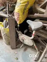 Old Saman Sink seat