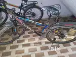 Full working condition double disk without caryal sport cycle
