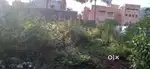 Approved plot