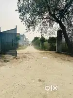 1000 square feet plot near by amity university