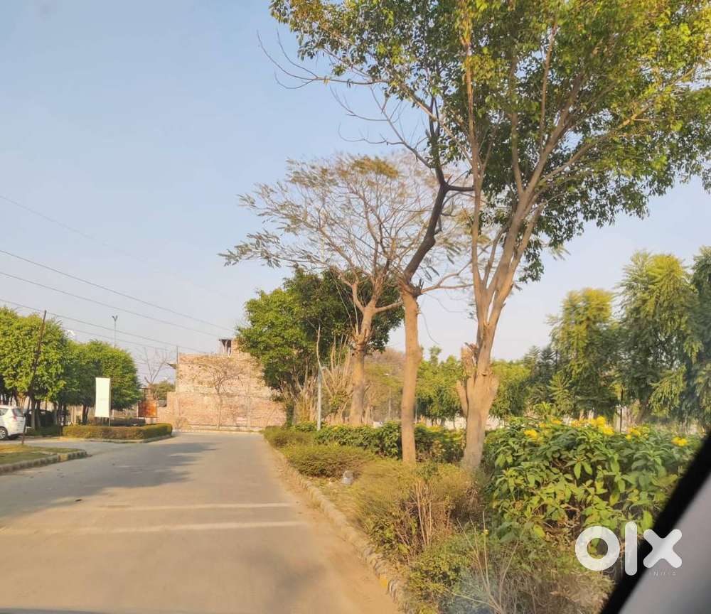 100 Sq. Yards Plot for Sale in Mohali