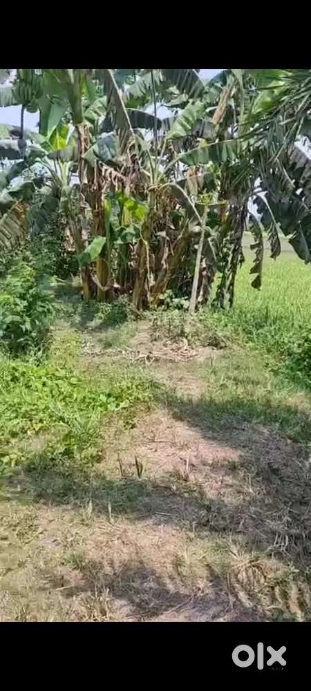 URGENT!!Land For Sale at Kheyada , 4.6 kattha, Net -6.5 Lakhs