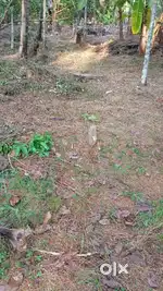 Plot for sale near ponniam west 4/1 miles
