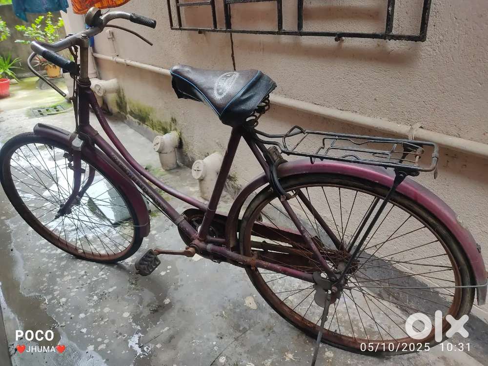 Ladies cycle