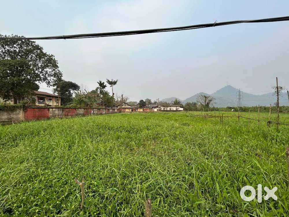 Plot for sale.