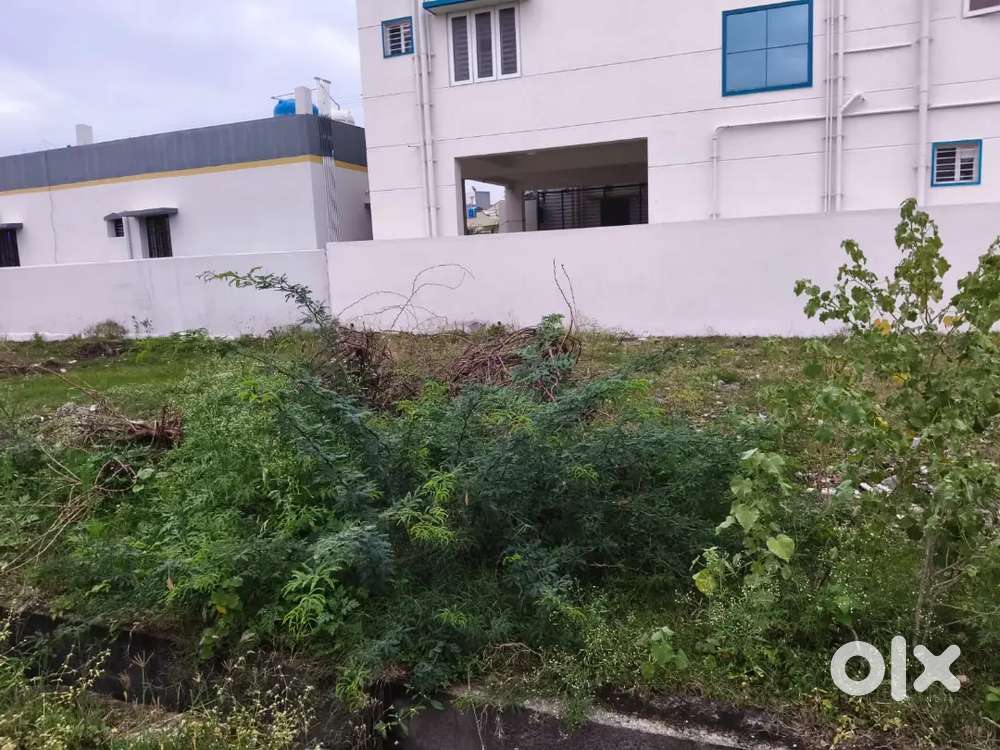 DTCP approved Corner plot at old Suramangalam