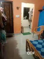 Need a girl Roommate (pure vegetarian)