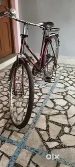 20 inch cycle