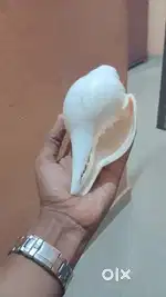 BLOWING CONCH