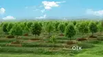 Investment Low cost plot in Bhubaneswar