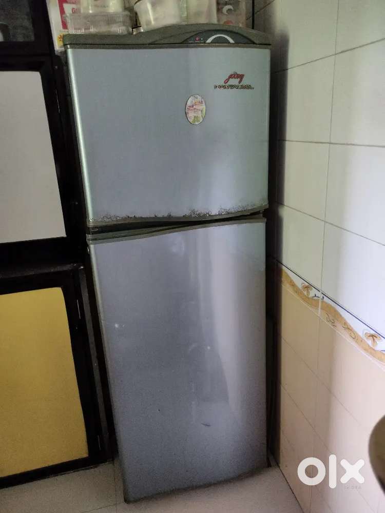 Godrej 250 litres Double Door Refrigerator