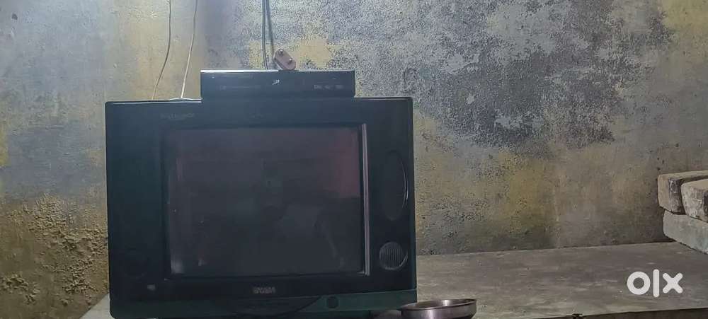Bush tv in India
