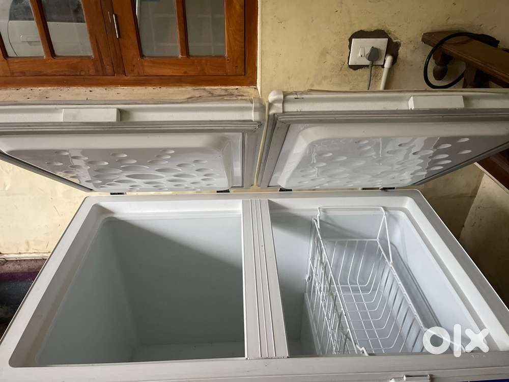 Blue Star Two door Freezer
