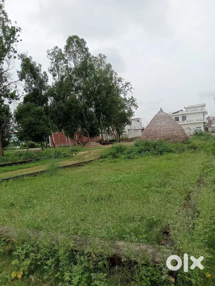 Urgently sale plot 100 gaj only 13 lakh near siddhi vinayak clg