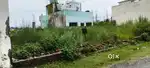 150 Gaj plot available Nearby Sahastradhara Road.
