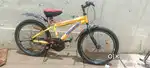 Best  cycle