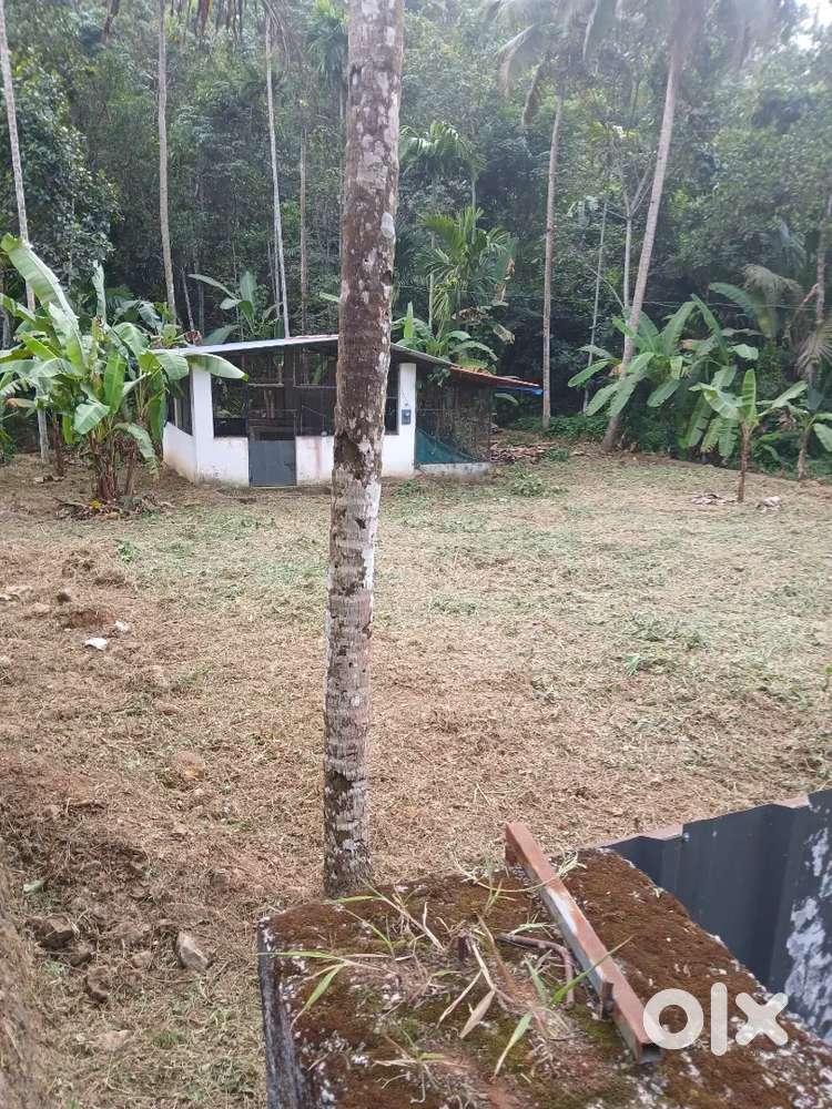 ആനകോട്ടൂർ ജംഗ്ഷനിൽ കടക്കു വീടിനും അനുയോജ്യമായ 13 സെന്റ്  വിപണയ്ക്ക്