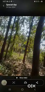 46 plus Acres Teakwood Land properties