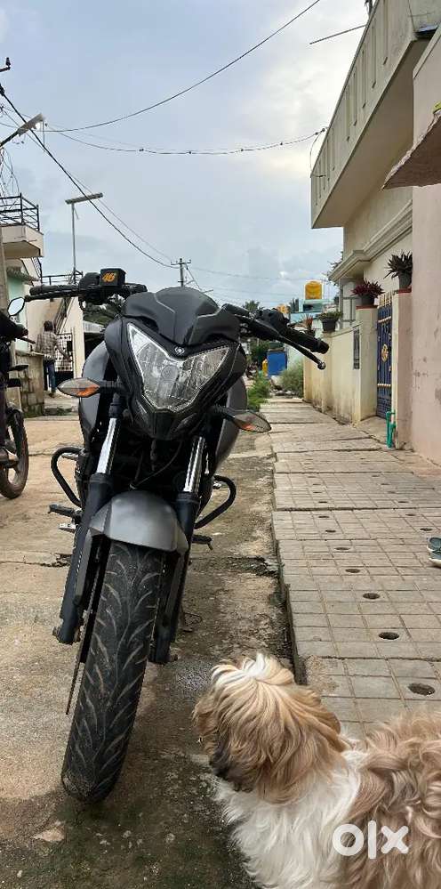 Selling my black beauty