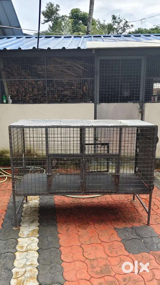 Dog and cat cage