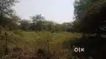 Abhanpur Bade Urla, Dist Raipur me 1 acre damar road par sale