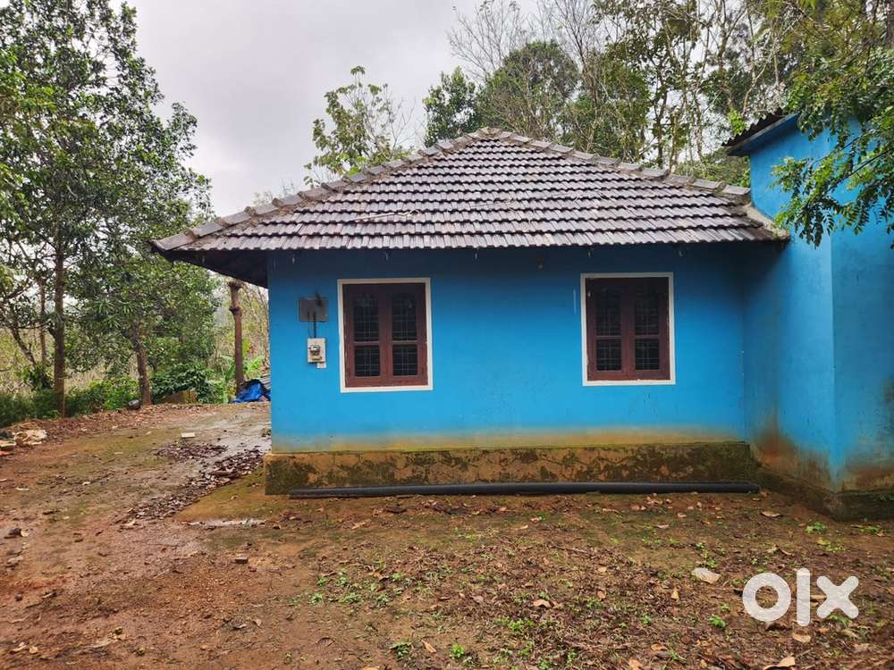 50 CENT LAND FOR SALE COLDY AREA,LAND WITH VARIETY SPICES ETC @WAYANAD