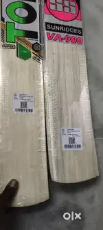 Cricket bats pads
