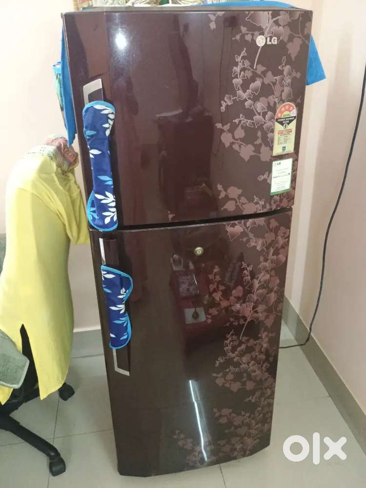 Refrigerator double door LG