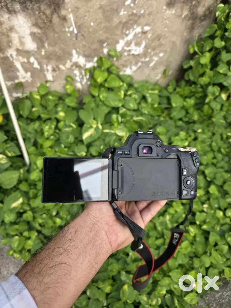Canon mark  200d
