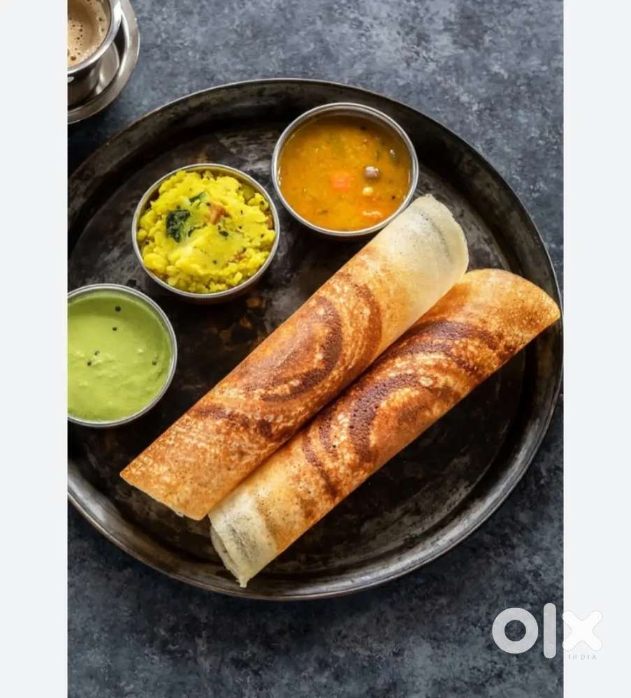 Need dosa cook or helper