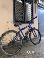 Magnate Cycle