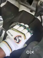 Cricket gloves market price 3099