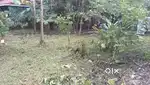 2.915 land for sale