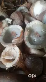 Copra dryer