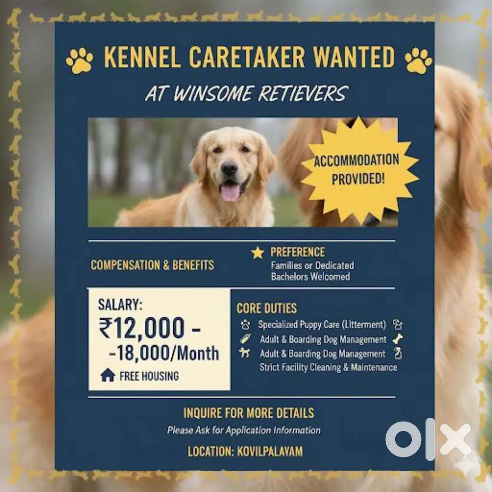 DOG/KENNEL CARETAKER JOB