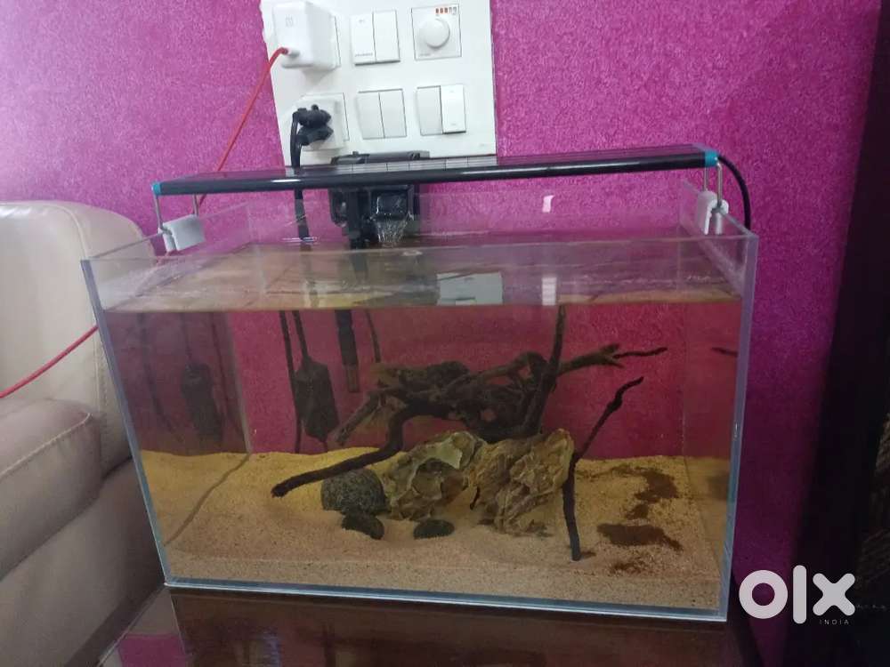 Ultra clear fish tank for sale