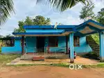 26cent land and 3bhk housewith 200 aracnu tree garden 40cent Nerigeri