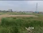 Approved plot