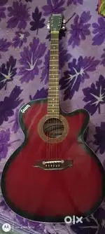 Givson Acoustic Guitar (Used) - Excellent Condition